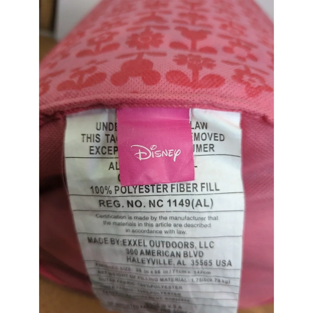Disney minnie mouse